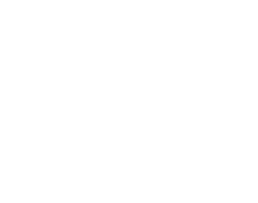 stylish pro monitoring